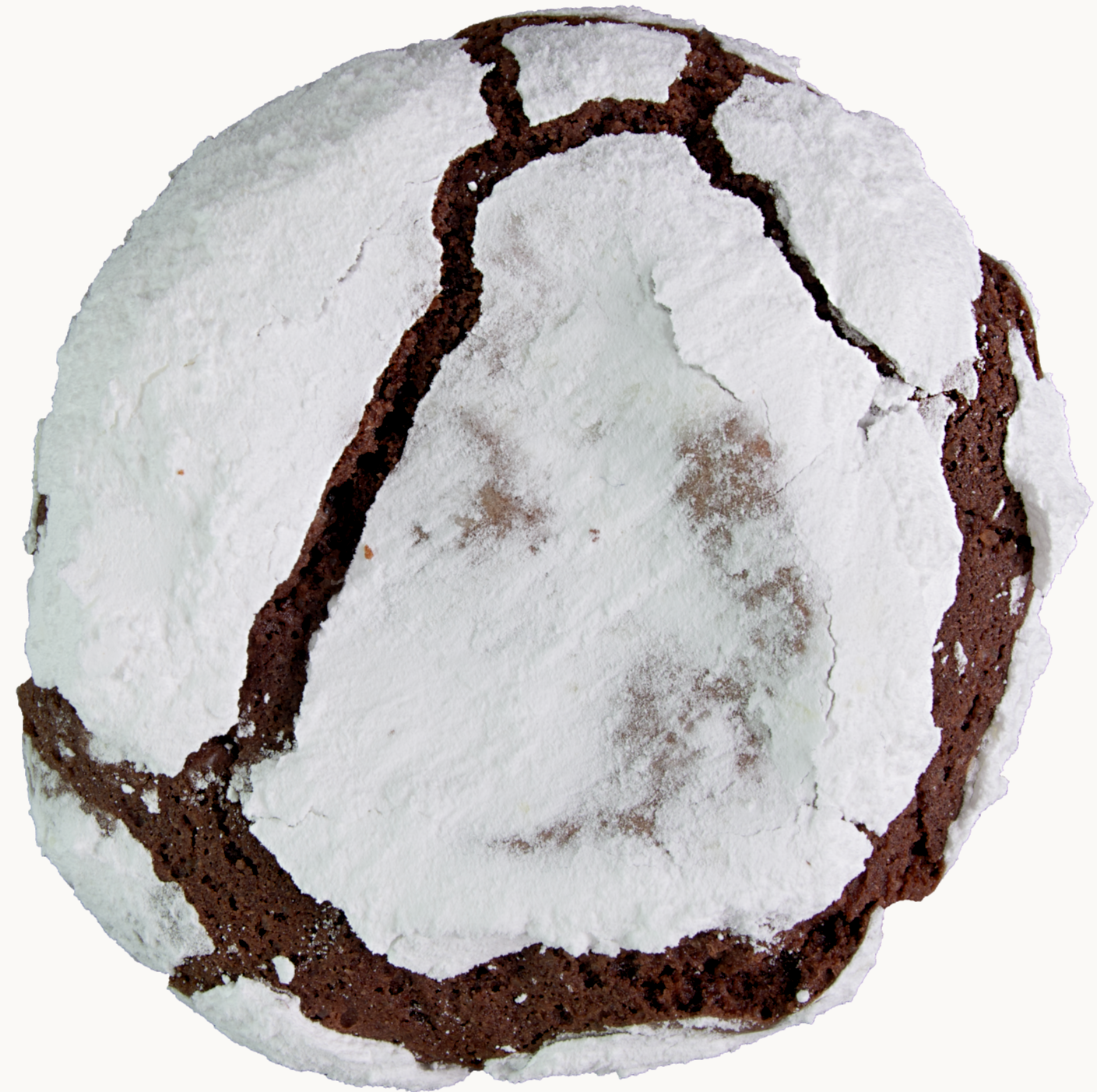 Crinkle – The Yummy Cookie